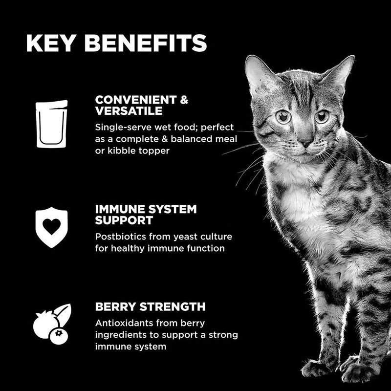 GO! SOLUTIONS,  BOOSTER Immune Health Tuna Pate - 71 g - Wet Cat Food image number null