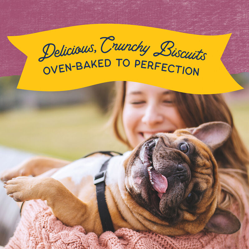 Natural Balance, Limited Ingredient Dog Treats Small Breed, Sweet Potato & Venison - Dog Biscuit image number null