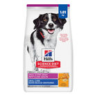 Science Diet, Adult Small & Mini Breed Oral Care Chicken Recipe - Dog Dry Food image number null