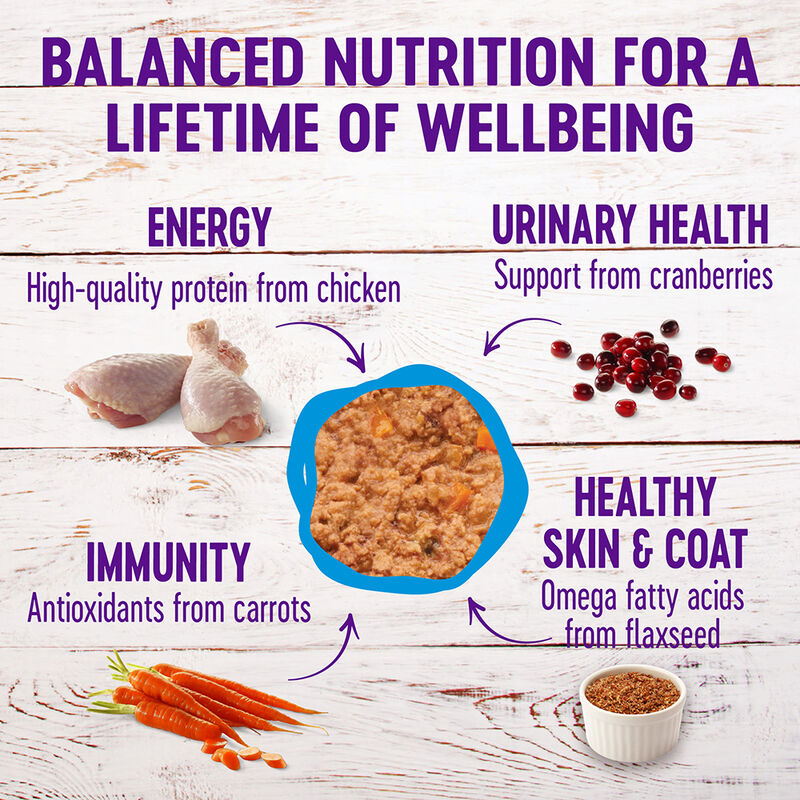 Wellness, Canned Cat Food, Complete Health, Chicken & Herring - Wet Cat Food image number null