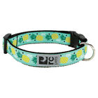 RC Pets, Clip Collar - Pineapple Parade - 3/4" Width - Small - Dog Collar image number null