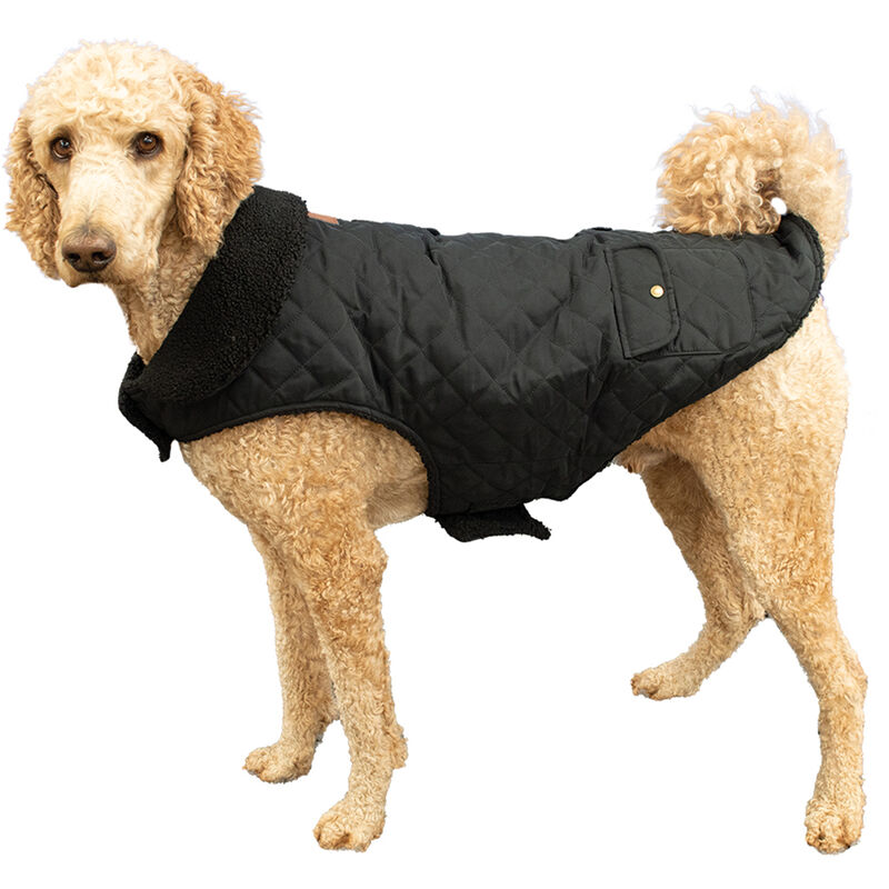 Canada Paws, Quilted Barn Coat - Black - Dog Coat image number null
