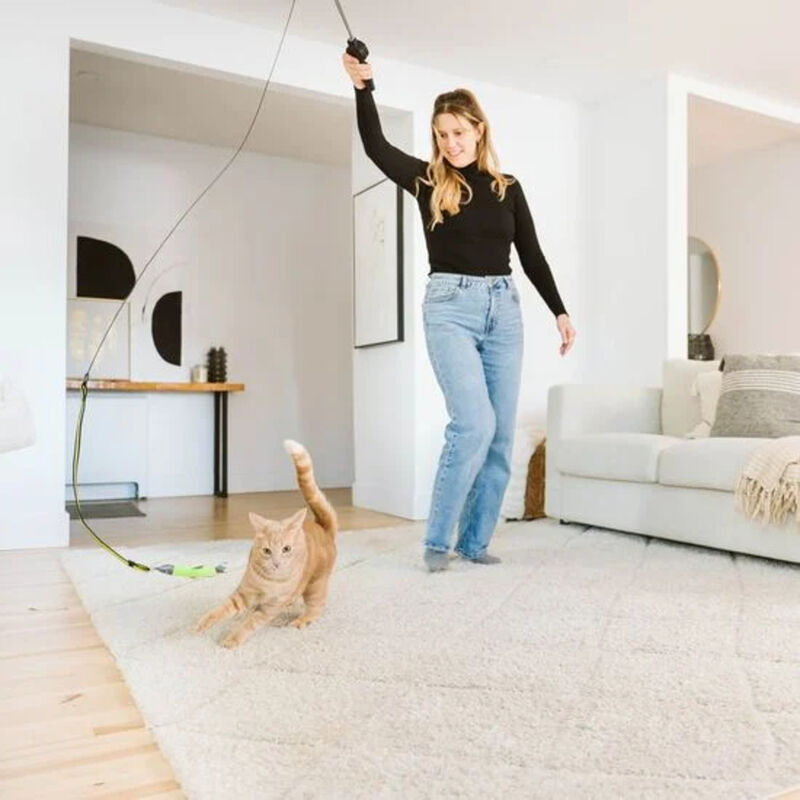 BeOneBreed, Retractable Cat Teaser image number null