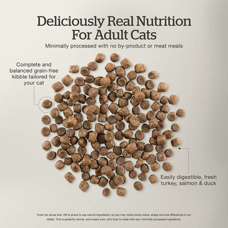 NOW FRESH, Feline Adult Grain Free - Dry Cat Food image number null