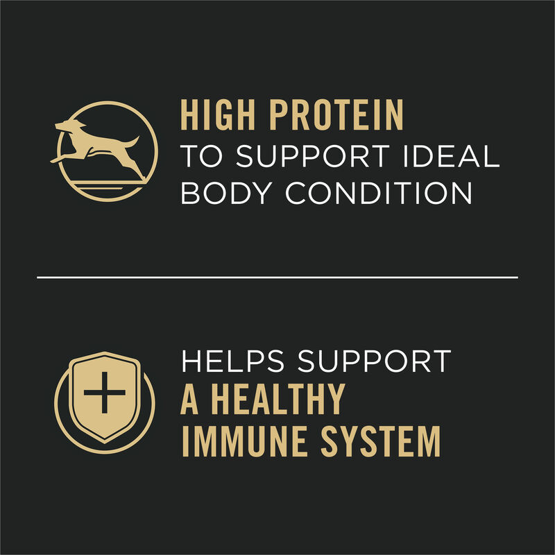 Pro Plan, Adult Complete Essentials - Turkey & Vegetables - 368 g - Wet Dog Food image number null