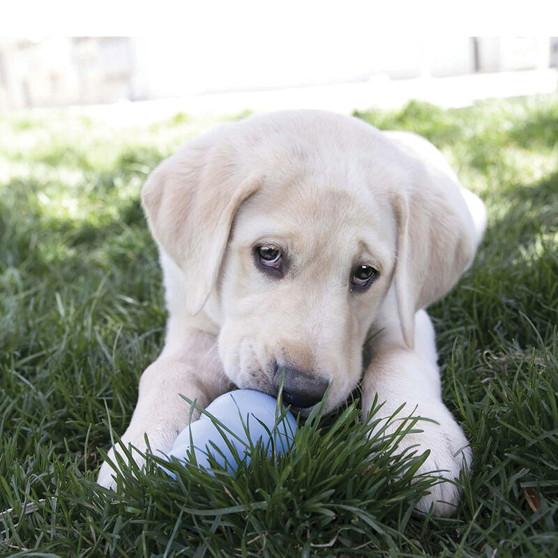 KONG, Snacks Puppy - Small - 198 g - Dog Treat image number null