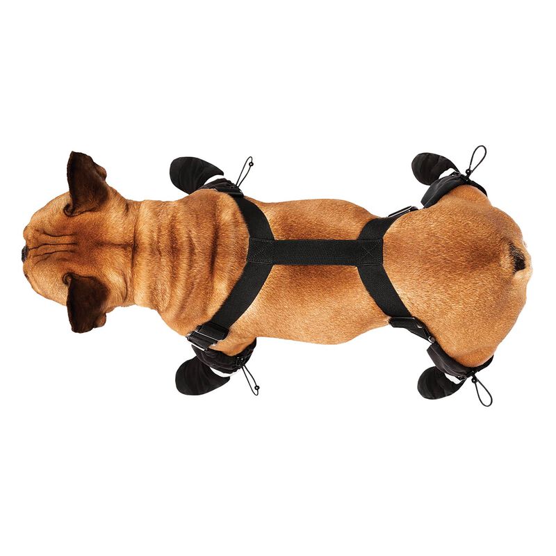 Canada Pooch, Suspender Boots - Black - Long image number null