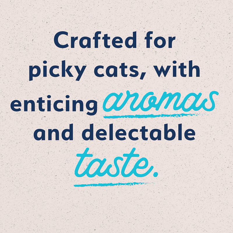 Can, Feline Adult - Ultra - Salmon - 156 g - Wet Cat Food image number null