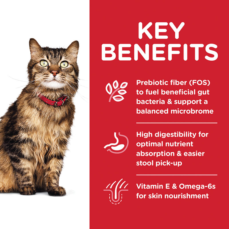 Science Diet, Adult Sensitive Stomach & Skin Chicken & Rice Recipe Dry Cat Food - Dry Cat Food image number null