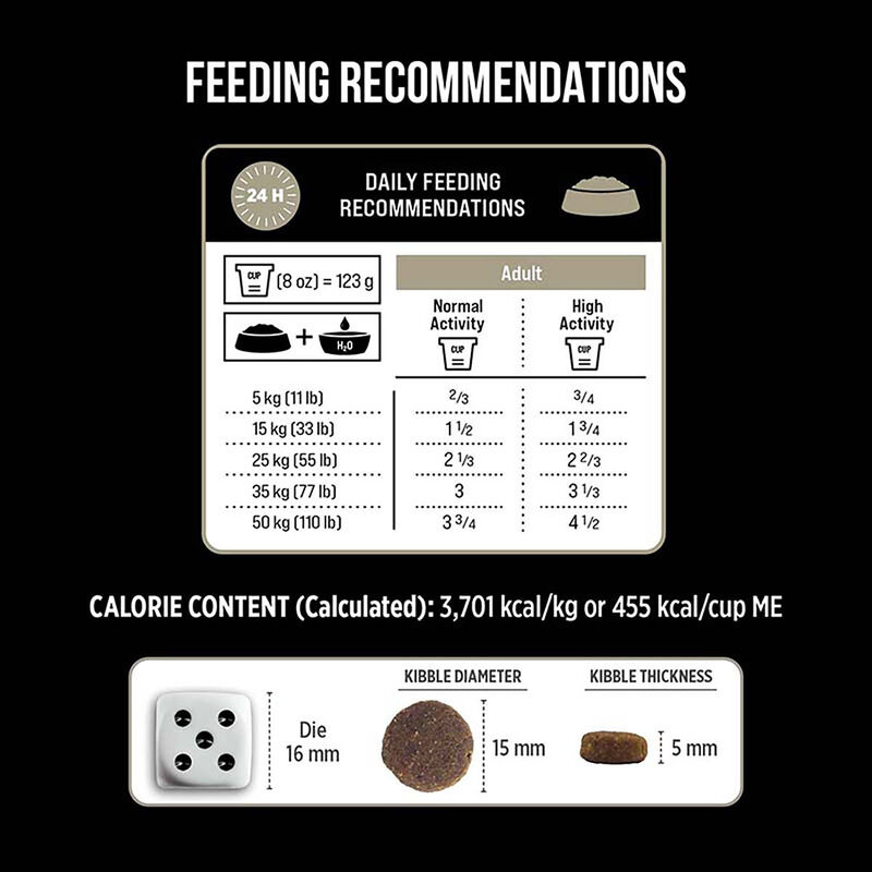 Nutrience, Adult - SubZero Grain Free - Northern Lakes - Dry Dog Food image number null