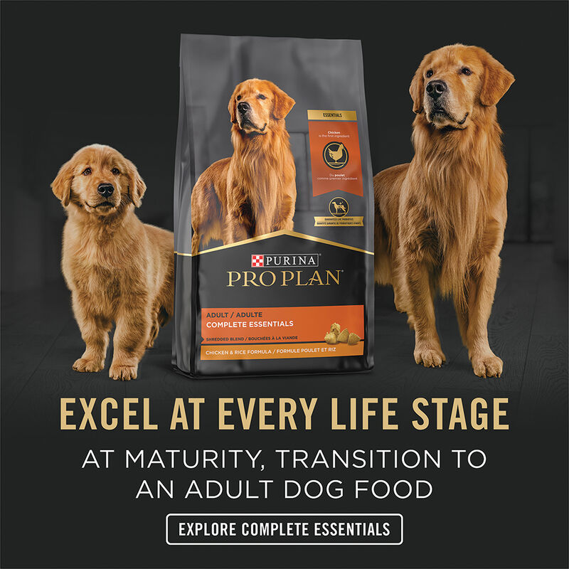 Pro Plan, Can, Puppy - Development-Chicken & Rice Pate-368 g - Wet Dog Food image number null