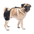 Caldera, Pet Therapy - Hip Wrap w/ Therapy Gel image number null