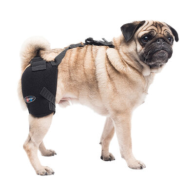 Caldera, Pet Therapy - Hip Wrap w/ Therapy Gel