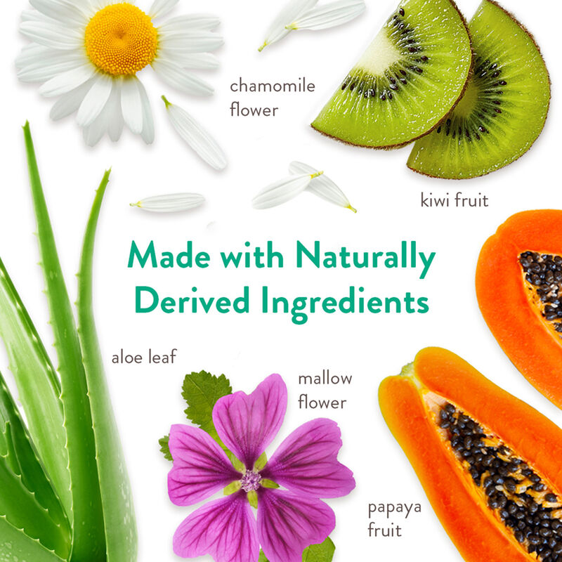 Tropiclean, Papaya & Coconut 2-in-1 Shampoo image number null