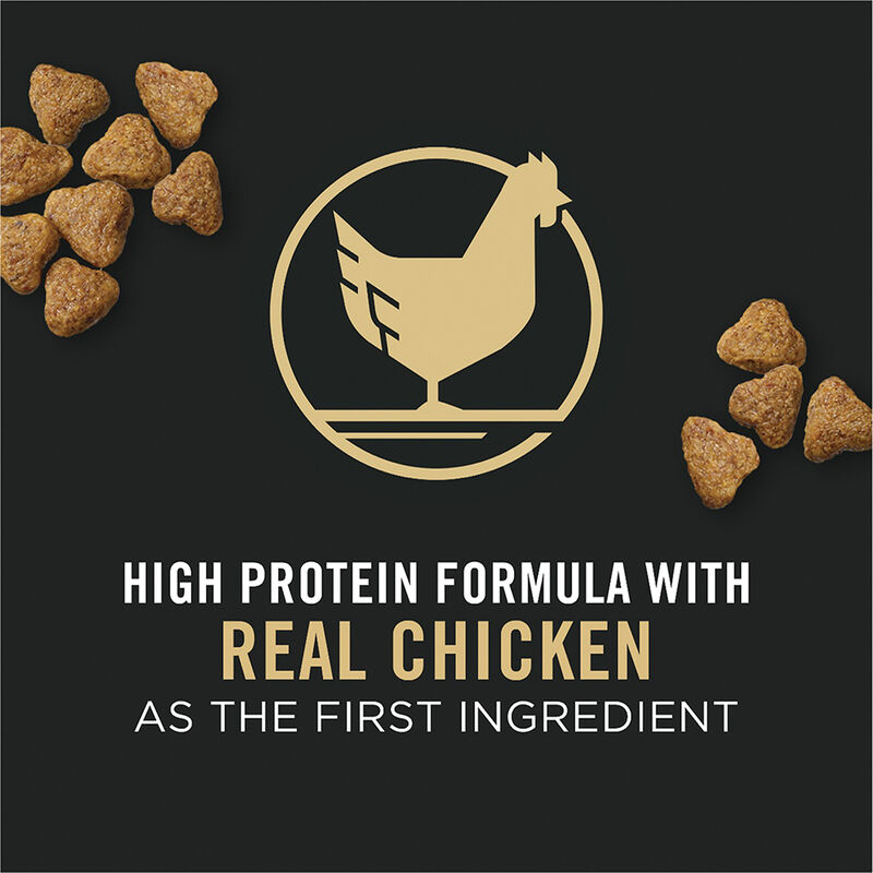 Pro Plan, Puppy, Sport Development 30/20 - Chicken&Rice - 10.9 kg - Dry Dog Food image number null