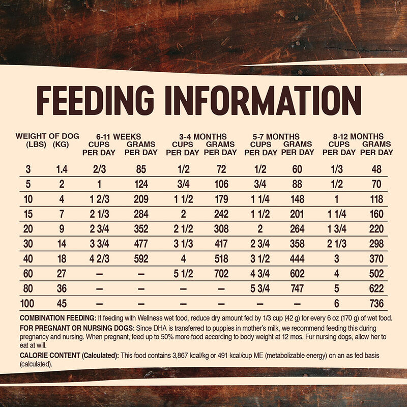 Wellness, Core, Grain Free Puppy - Dry Dog Food image number null