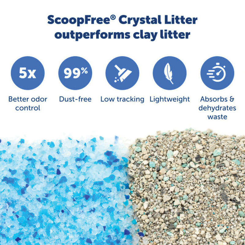 PetSafe, ScoopFree Replacement Litter Tray - Blue - 3 Pk image number null