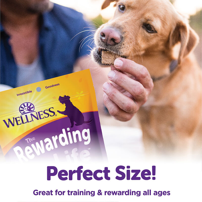 Wellness, Wellbites, Turkey & Duck Soft Dog Treats - 6 oz - Dog Treat image number null