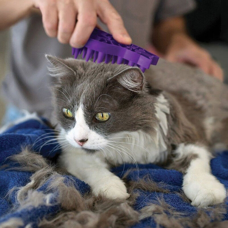 KONG, ZoomGroom Cat - Grooming Brushes & Slickers image number null