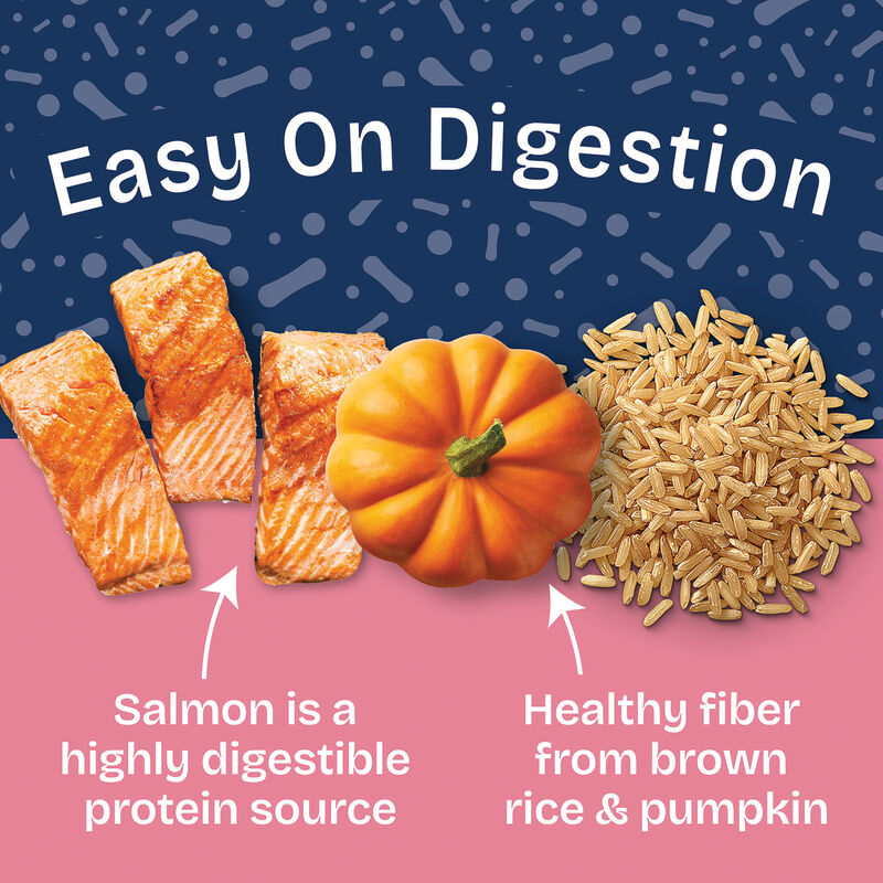 Natural Balance, Health Protection - Salmon & Pumpkin Stew - Wet Dog Food image number null