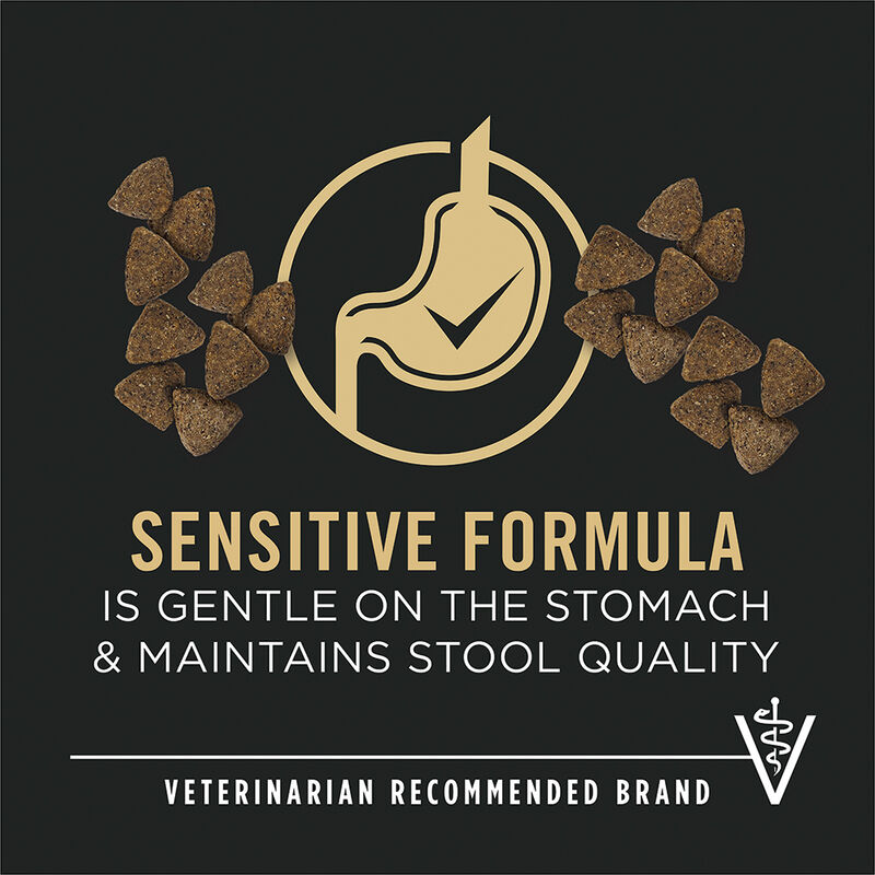Pro Plan, Adult - SensitiveSkin&Stomach - Turkey&Oatmeal - 10.9 kg - Dry Dog Food image number null