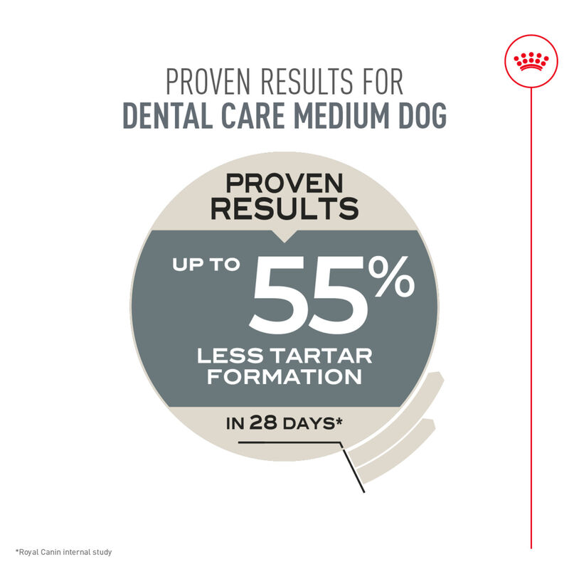 Royal Canin, Canine Care Nutrition Dental Care Adult Medium - Dry Dog Food image number null