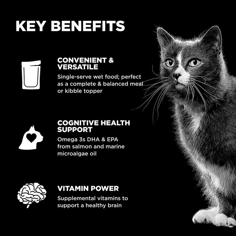 GO! SOLUTIONS,  BOOSTER Brain Health Tuna + Salmon Pate - 71 g - Wet Cat Food image number null