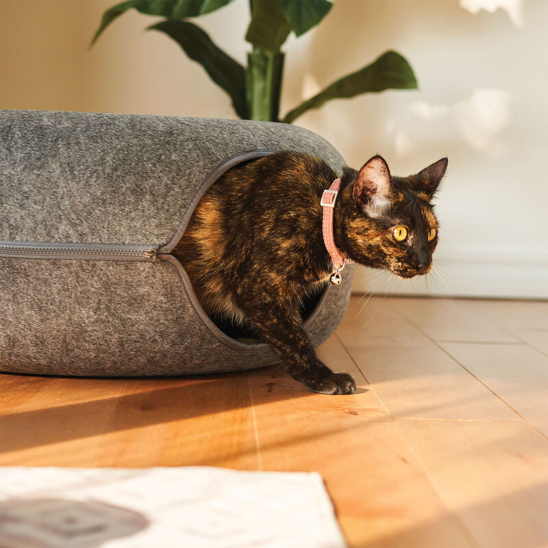 Brigade, Felt Donut Hideout - Dark Grey image number null