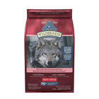Blue Buffalo, Wilderness with More Meat & Wholesome Grains Adult Dog - Salmon - Dry Dog Food image number null