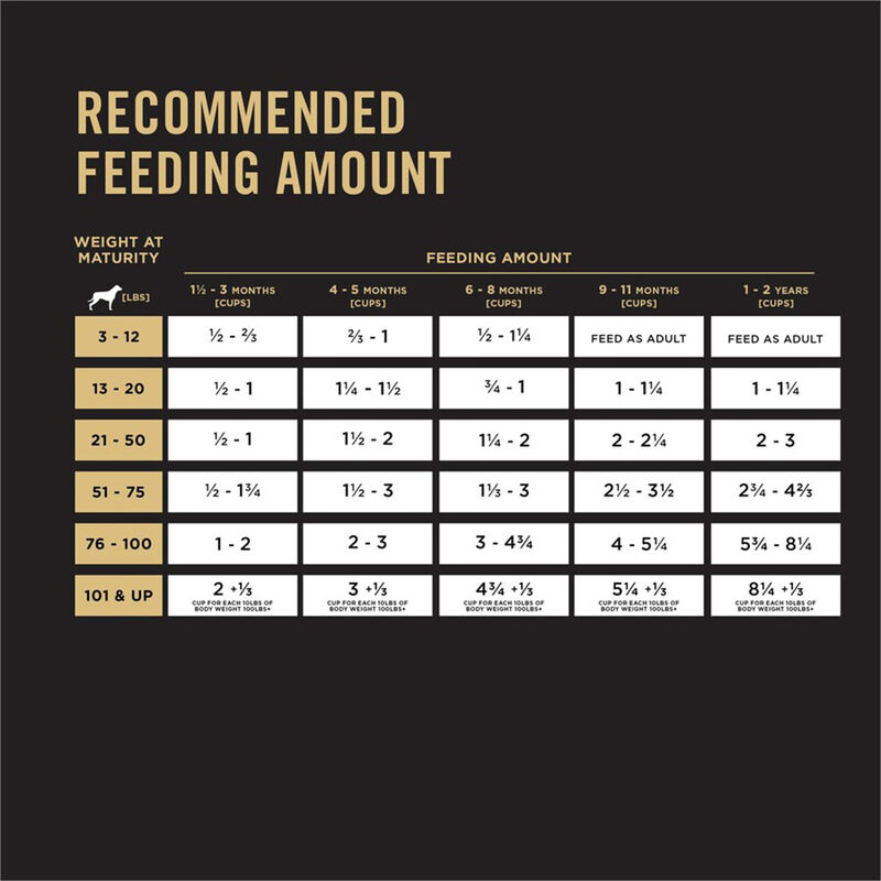 Purina Pro Plan Development Under One Year Puppy, Shredded Blend, Chicken & Rice Dry Dog Food Formul image number null