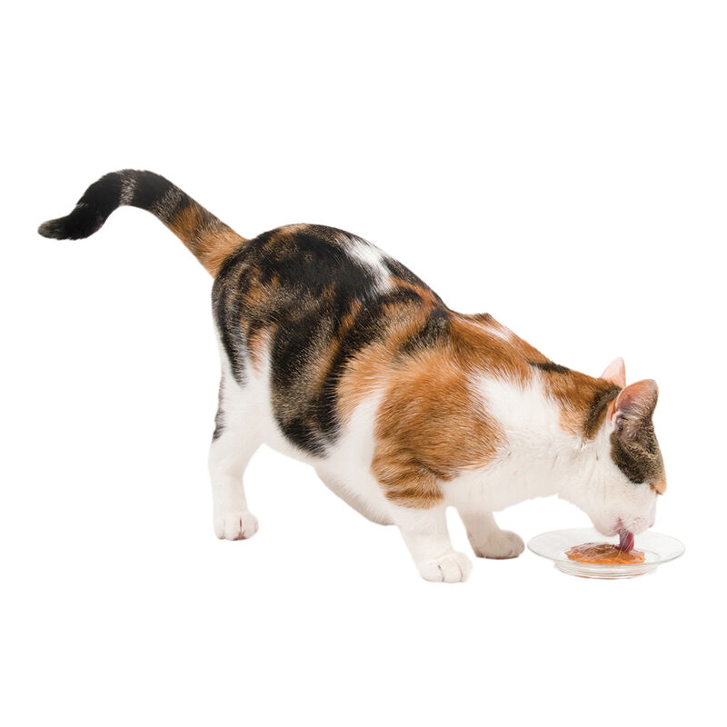 Catit, Creamy Treats - Salmon - 15 g image number null