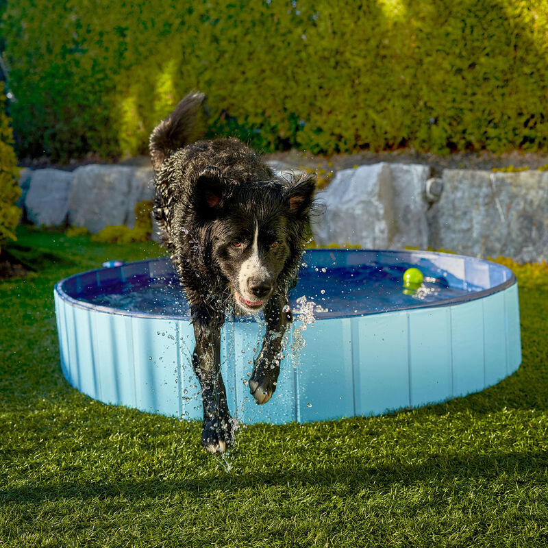 Pawtek Foldable and Portable Pet Pool - Blue image number null