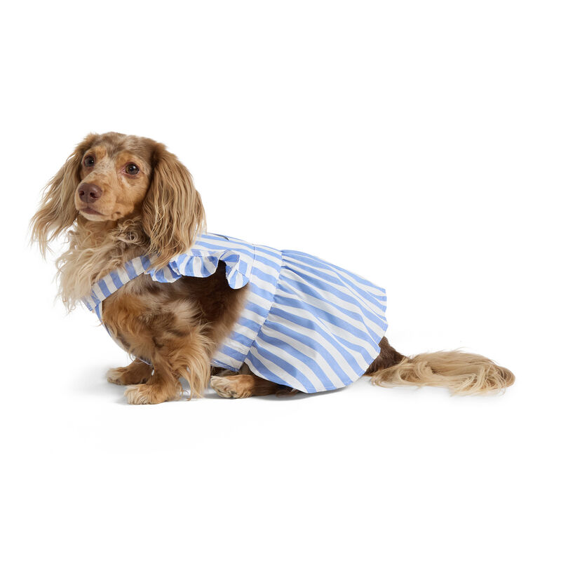 Nautica Striped Dress image number null