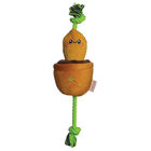 Territory, Carrot Treat & Tug Toy image number null