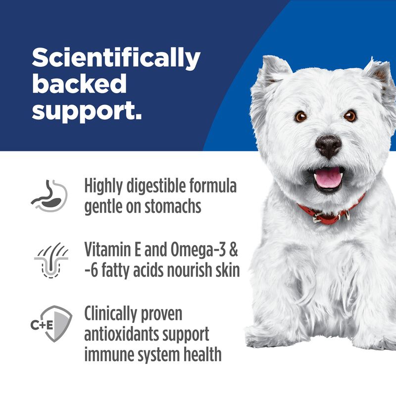 Science Diet, Adult Sensitive Stomach & Skin Small Bites Chicken Recipe Dry Dog Food - Dry Dog Food image number null
