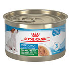 Royal Canin, Small Puppy - Size Health Nutrition - Thin Slices in Gravy - 145 g - Wet Dog Food image number null