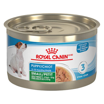 Royal Canin, Small Puppy - Size Health Nutrition - Thin Slices in Gravy - 145 g - Wet Dog Food