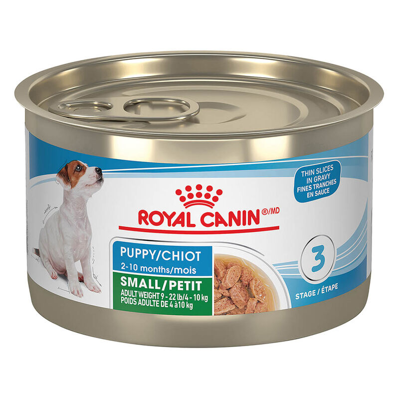Royal Canin, Small Puppy - Size Health Nutrition - Thin Slices in Gravy - 145 g - Wet Dog Food image number null