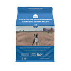 Open Farm, Catch-Of-The-Season Whitefish & Ancient Grains Dog Dry Food - Dry Dog Food image number null