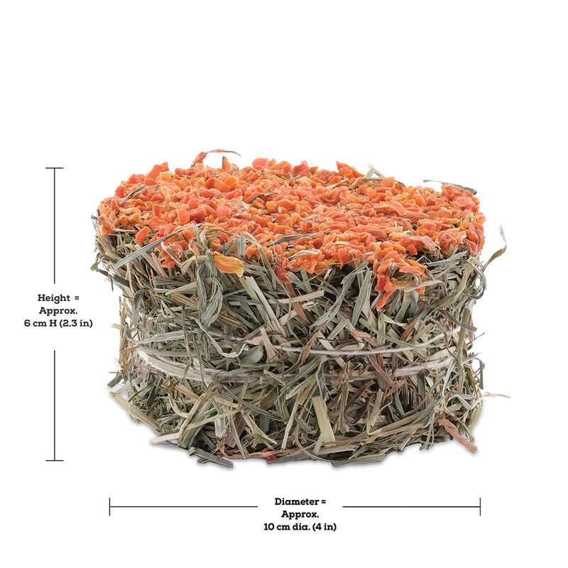 Living World Green, Hay/Biscuits Cakes - Carrot image number null