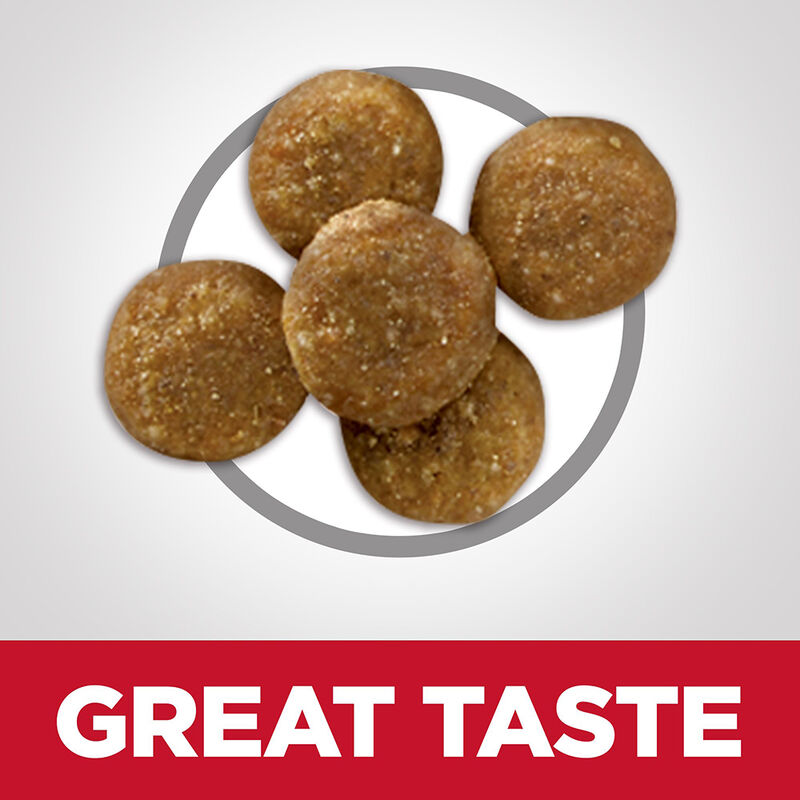 Science Diet, Feline Adult - Perfect Digestion Salmon - Dry Cat Food image number null