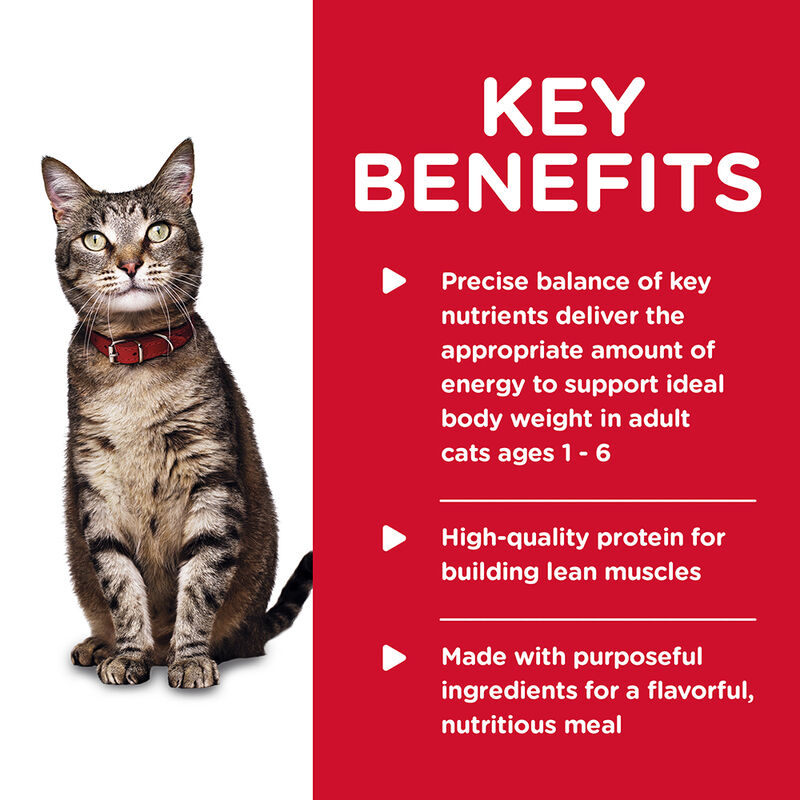 Science Diet, Can, Feline Adult - Ocean Fish - 156 g - Wet Cat Food image number null