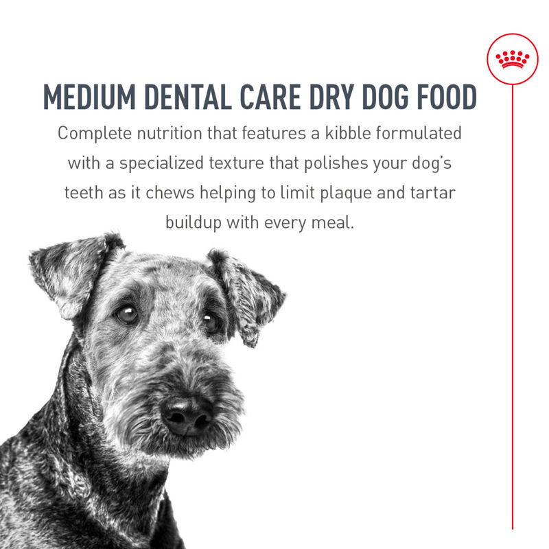 Royal Canin, Canine Care Nutrition Dental Care Adult Medium - Dry Dog Food image number null