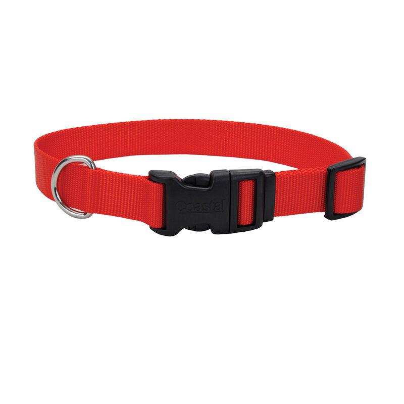 Adjustable Dog Collar with Plastic Buckle, Red, Extra Small - 3/8" x 8"-12" image number null