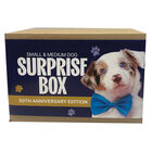 Surprise Box - Dog - Medium image number null