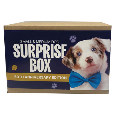 Surprise Box - Dog - Medium
