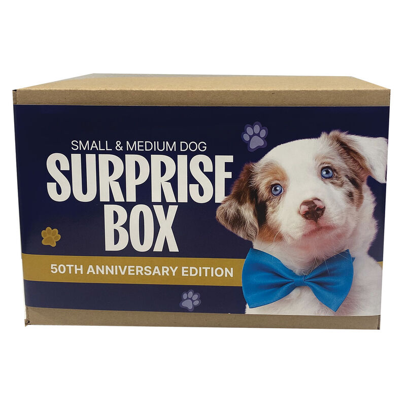 Surprise Box - Dog - Medium image number null