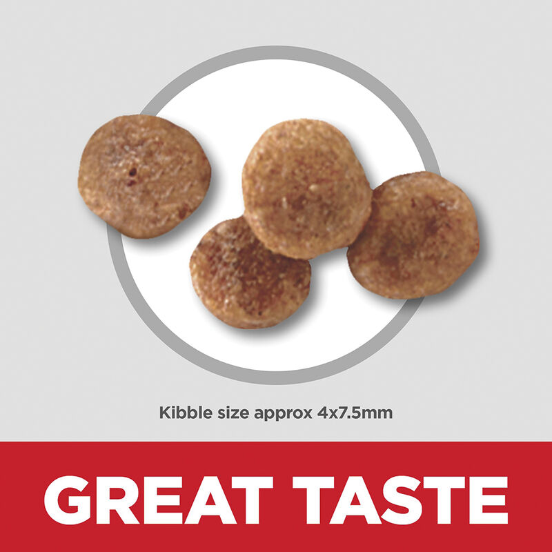 Science Diet, Adult 11+ Small Paws Chicken Meal, Barley & Brown Rice Recipe Dry Dog Food - Dry Dog F image number null