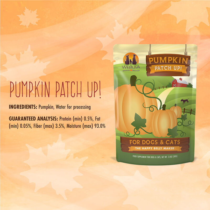 Weruva, Pouch, Adult - Pumpkin Patch Up - Puree  - Wet Dog Food image number null