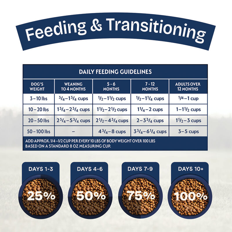 Natural Balance, Health Protection Puppy - Real Chicken, Brown Rice & Pumpkin Recipe - Dry Puppy Foo image number null